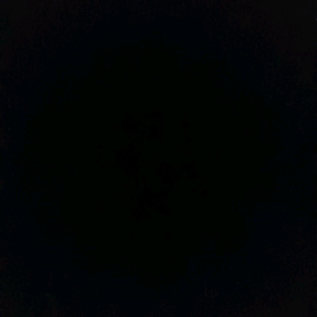 林得英建模师