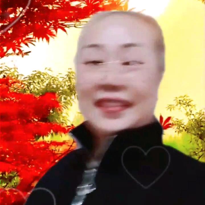 🌸紫薇🌸