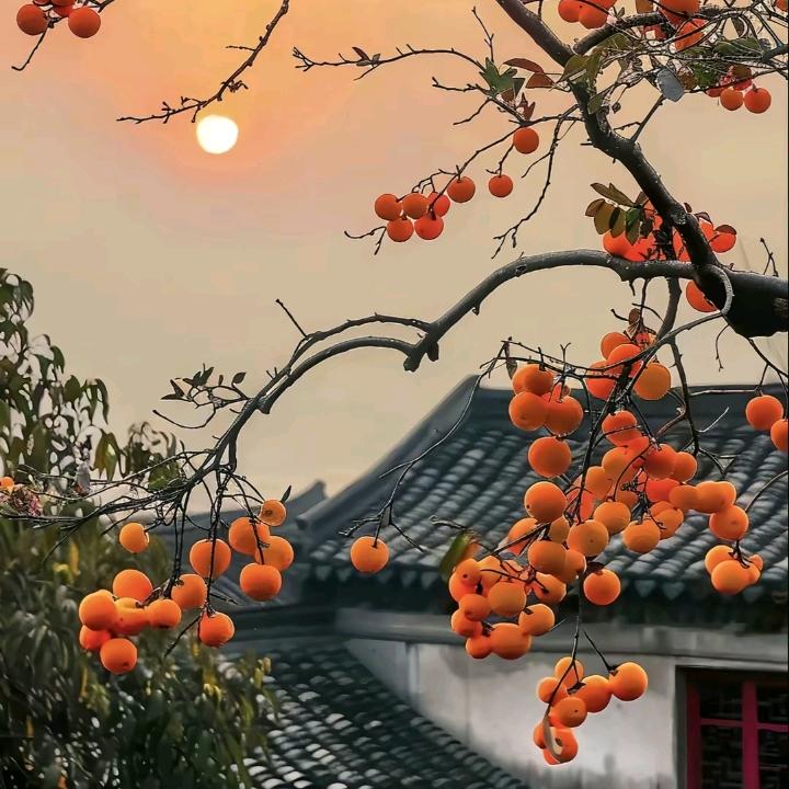 沁水护元