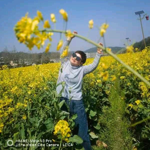 悦仙草灵芝孢子粉