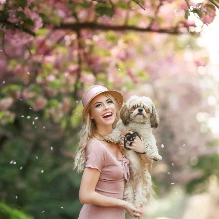 @Bo乐犬友_萌宠日常