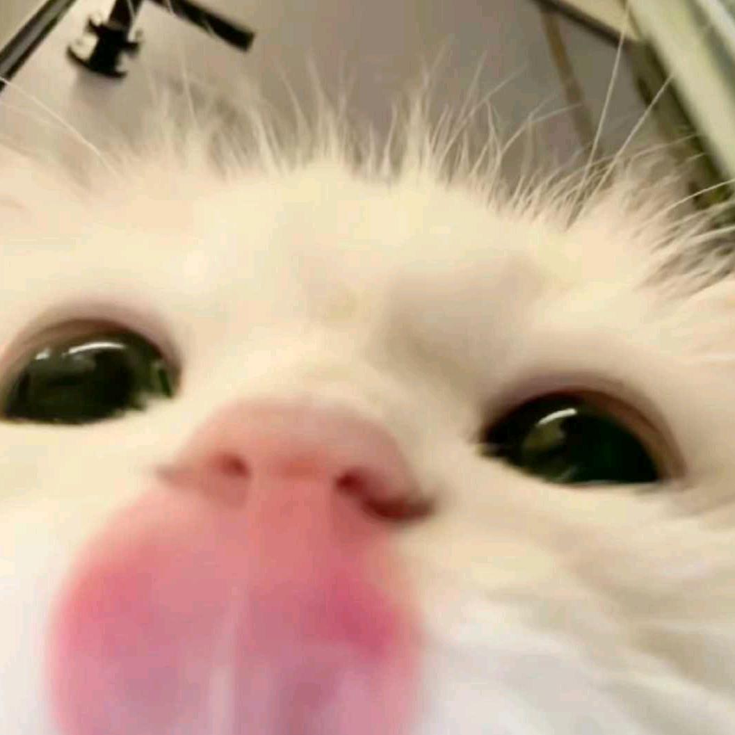 阑珊