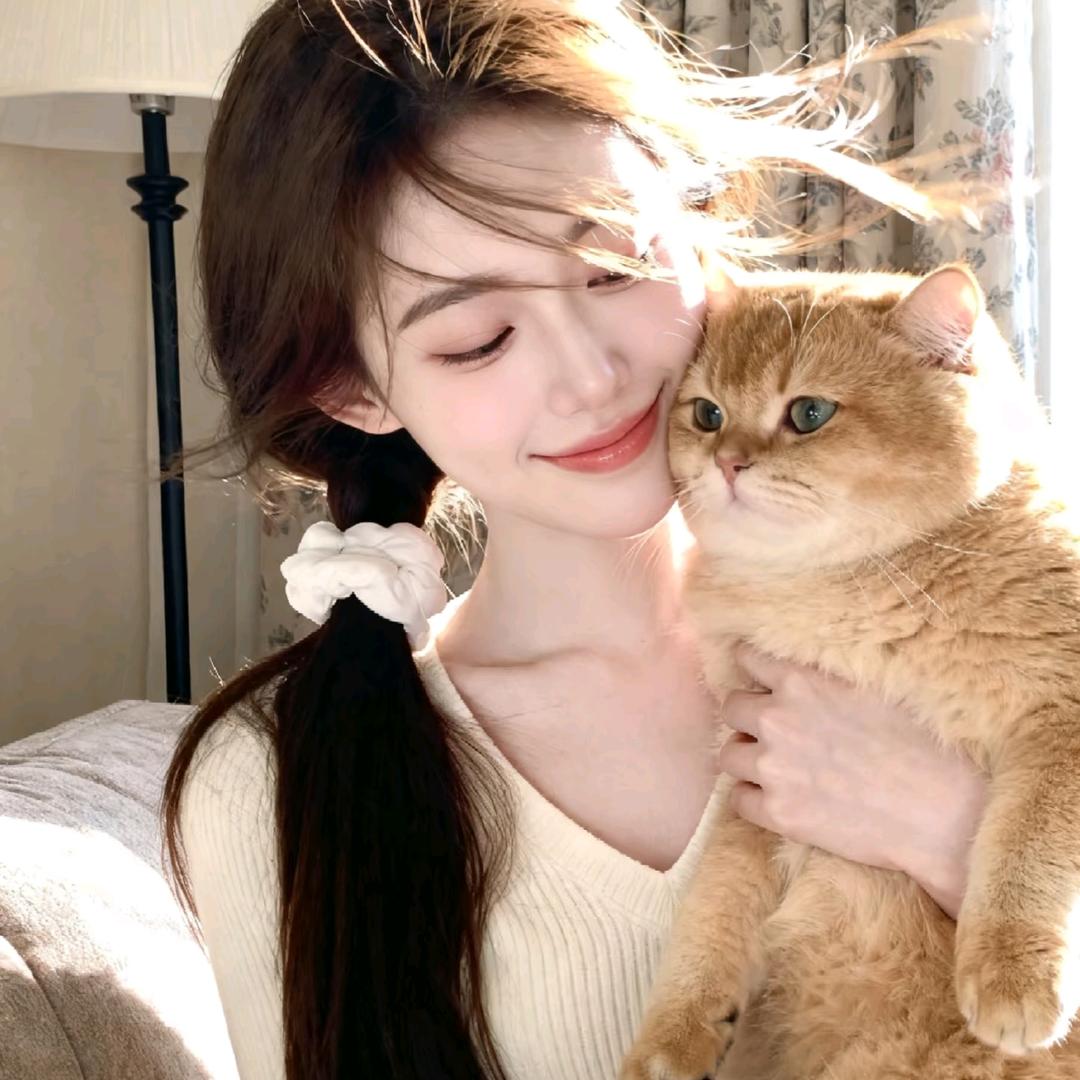 刀刃🌞安澈🌞秀才🌞步🌞龙