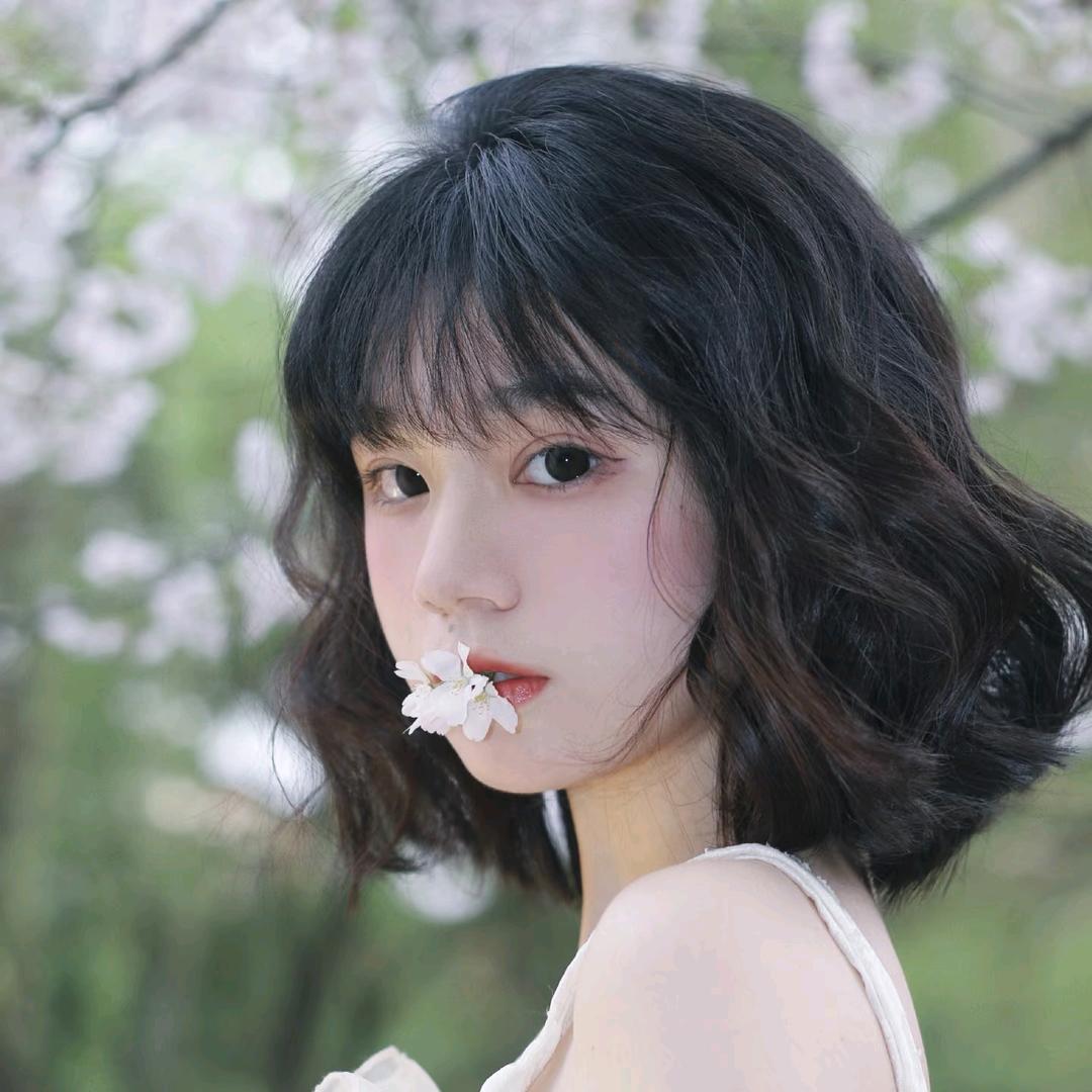 甜兔少女