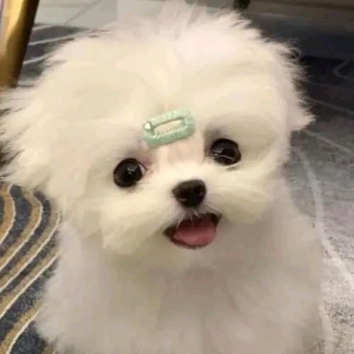 英姐优选