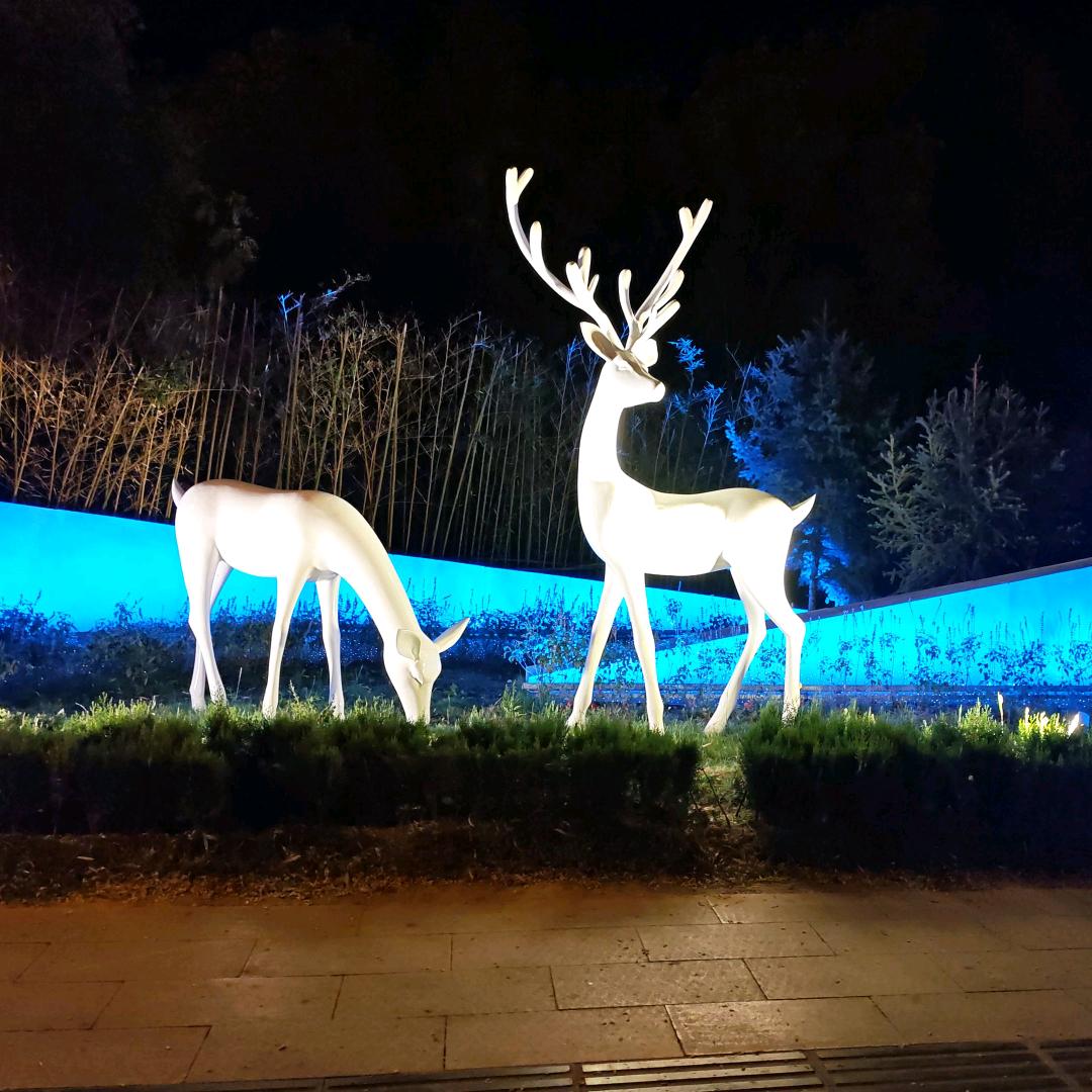 ～～清晰看世界