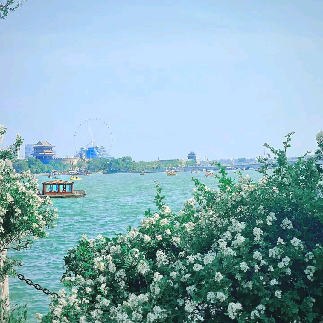 意隆