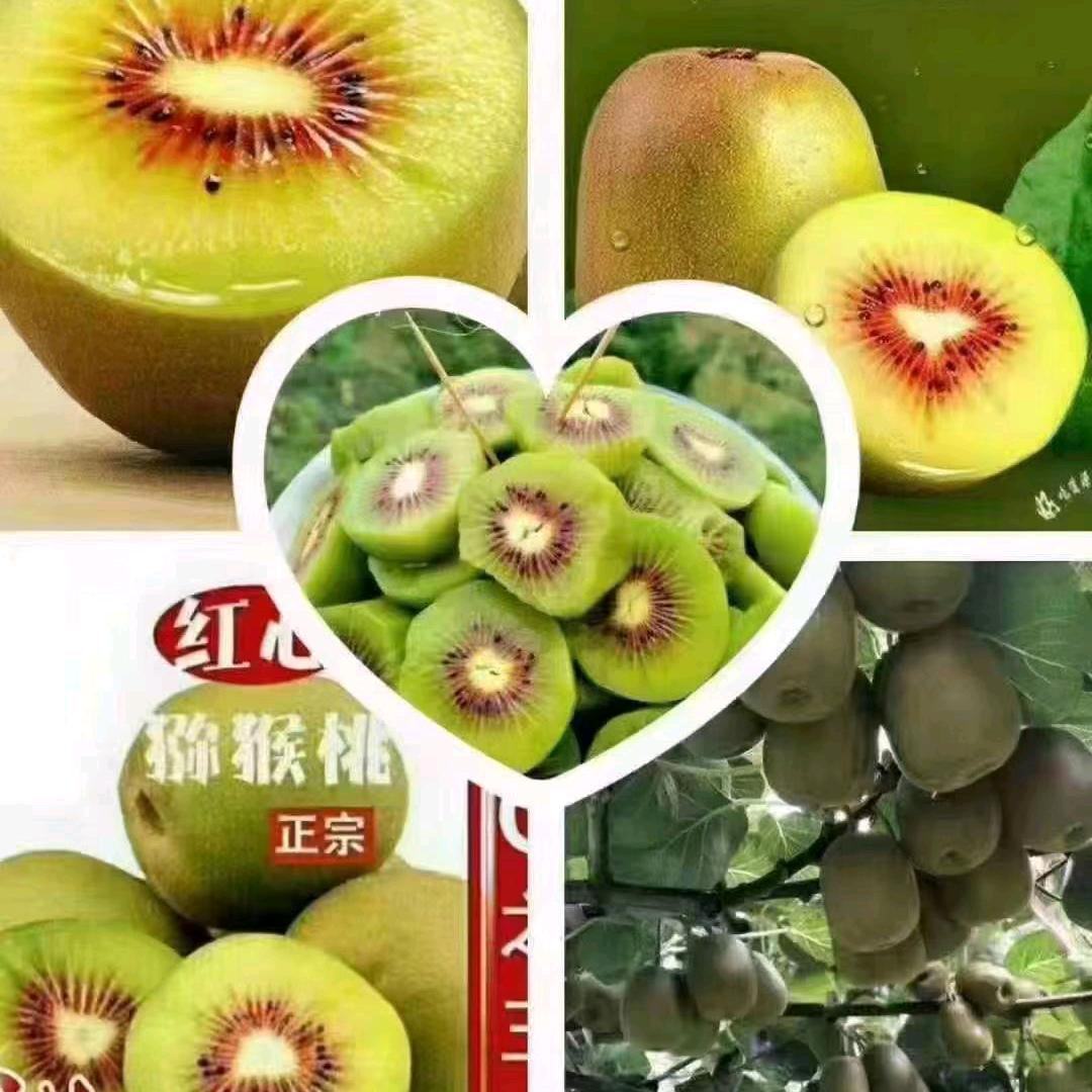 886