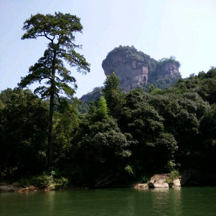 阿英