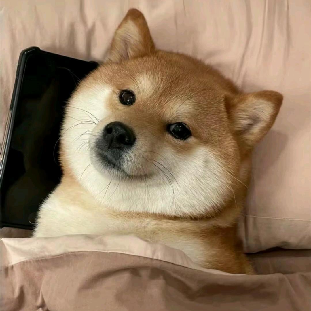 笑壁崽汁.
