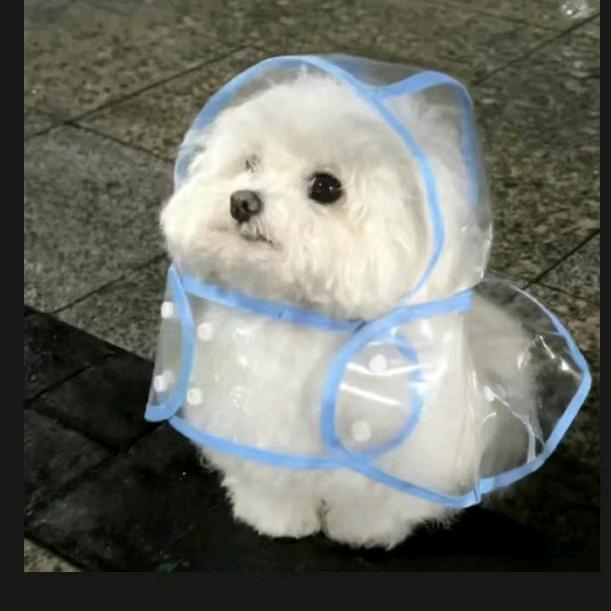 阿明