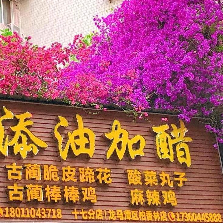 多🌸幸🍀运💕