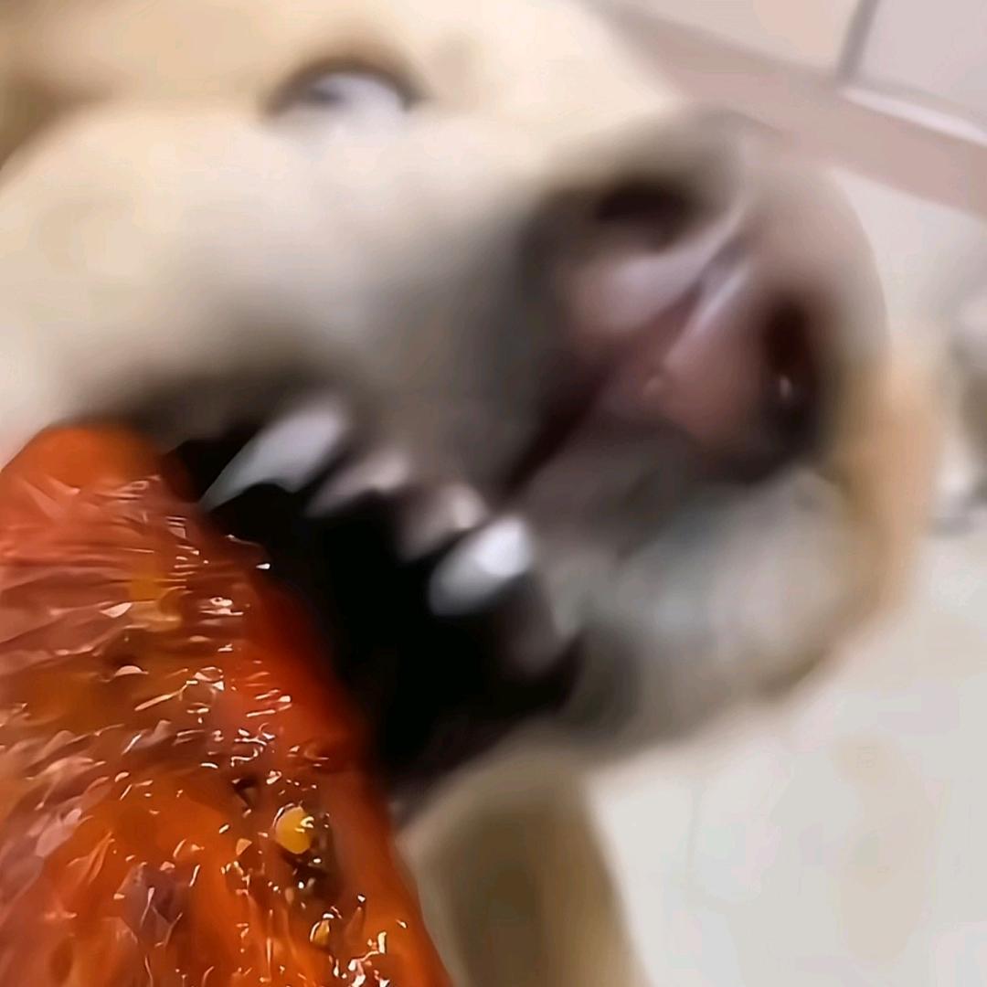 莫听穿林打叶声