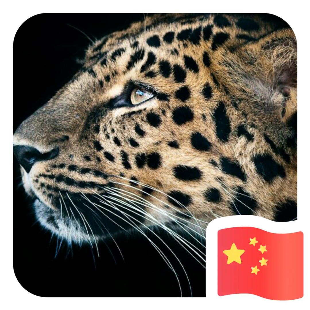 A王伟