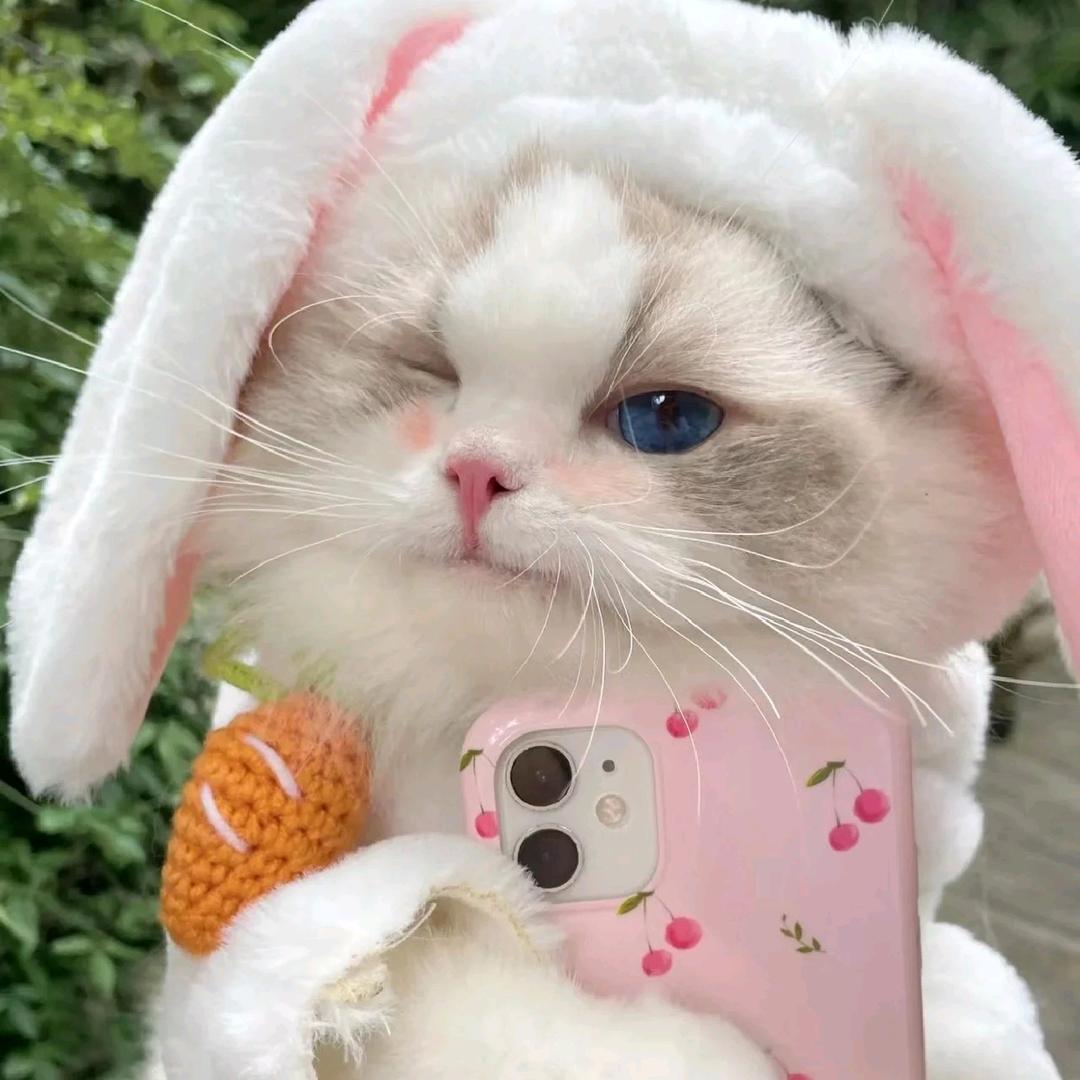 柯南 请关注宁波小洛熙事件谢谢