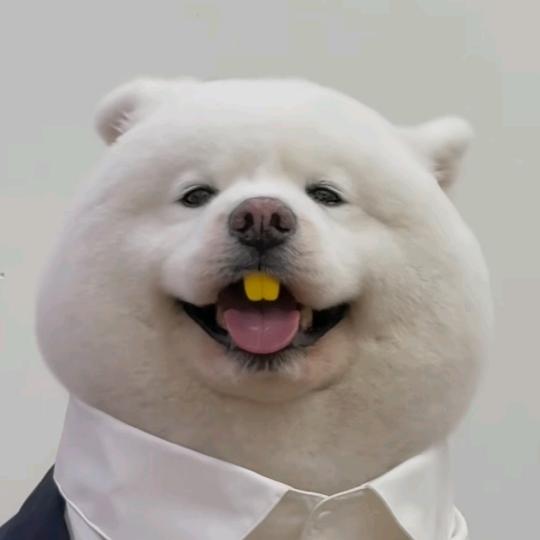 H.