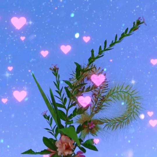🌸