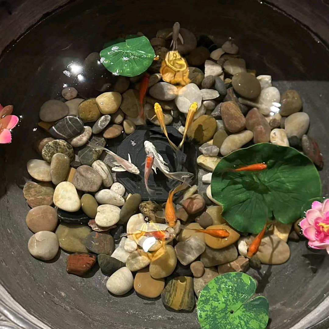 品牌断码专享1号店