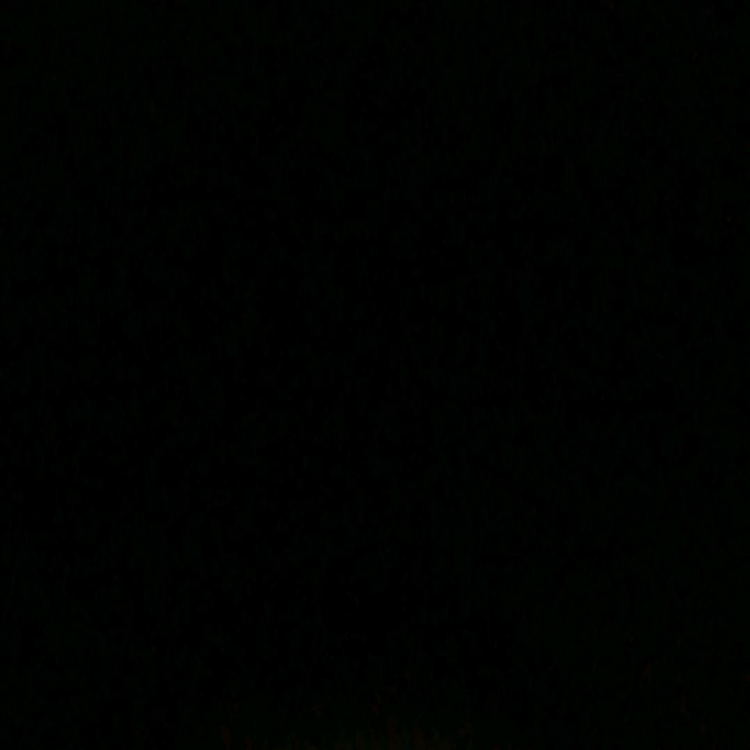 黑王（必须回关）