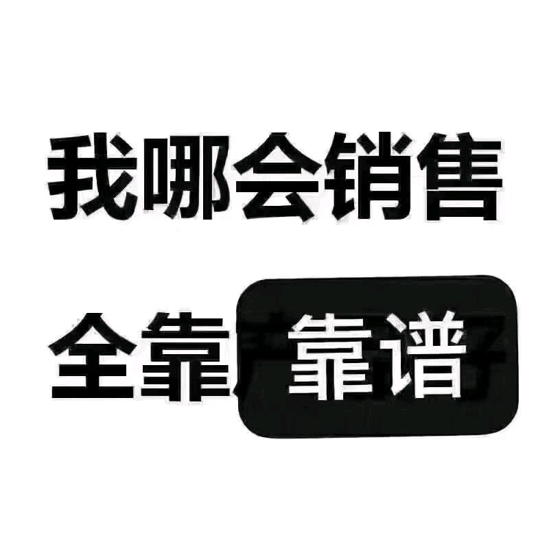 亲民汽车搬运工