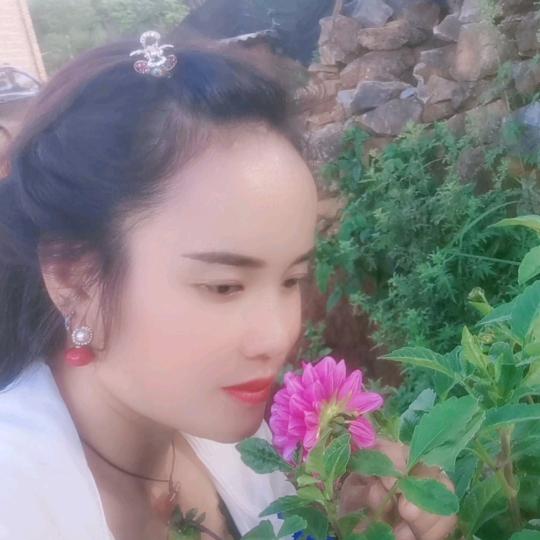 梦想，🌺🍄💐🌾