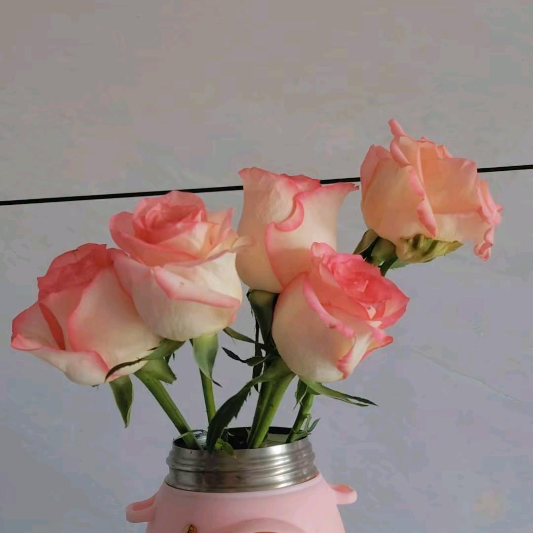 ૮ .  ̫ . ა.多喜乐。常安宁☘︎