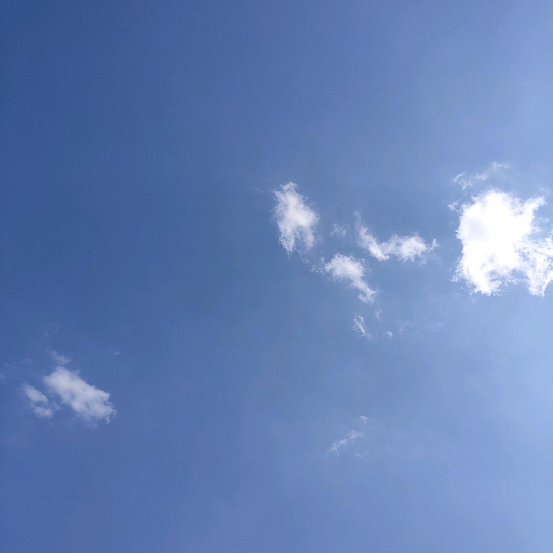 天羽