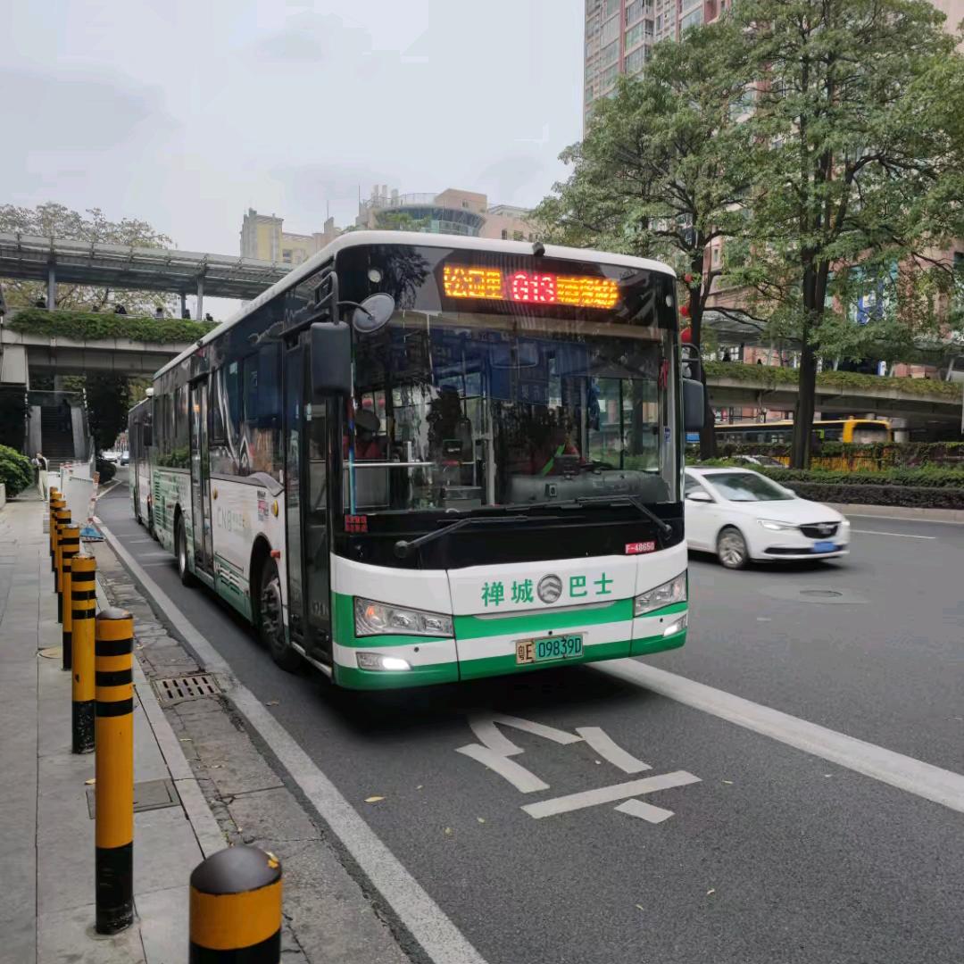 粤E·09839D