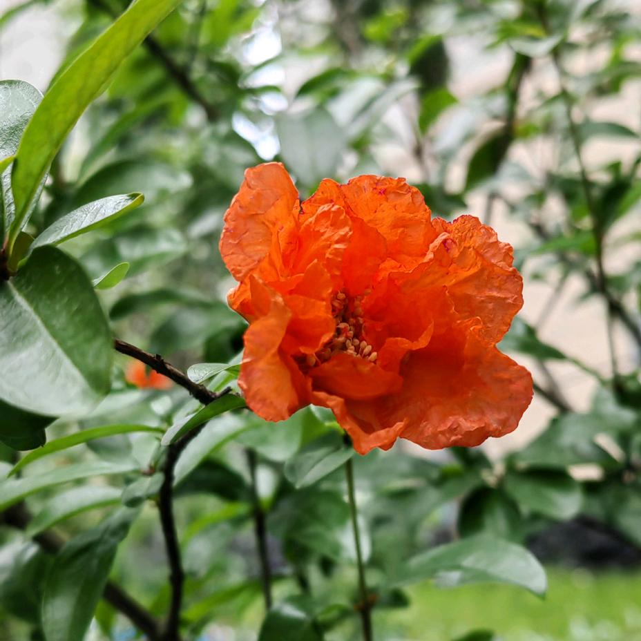 简单真好