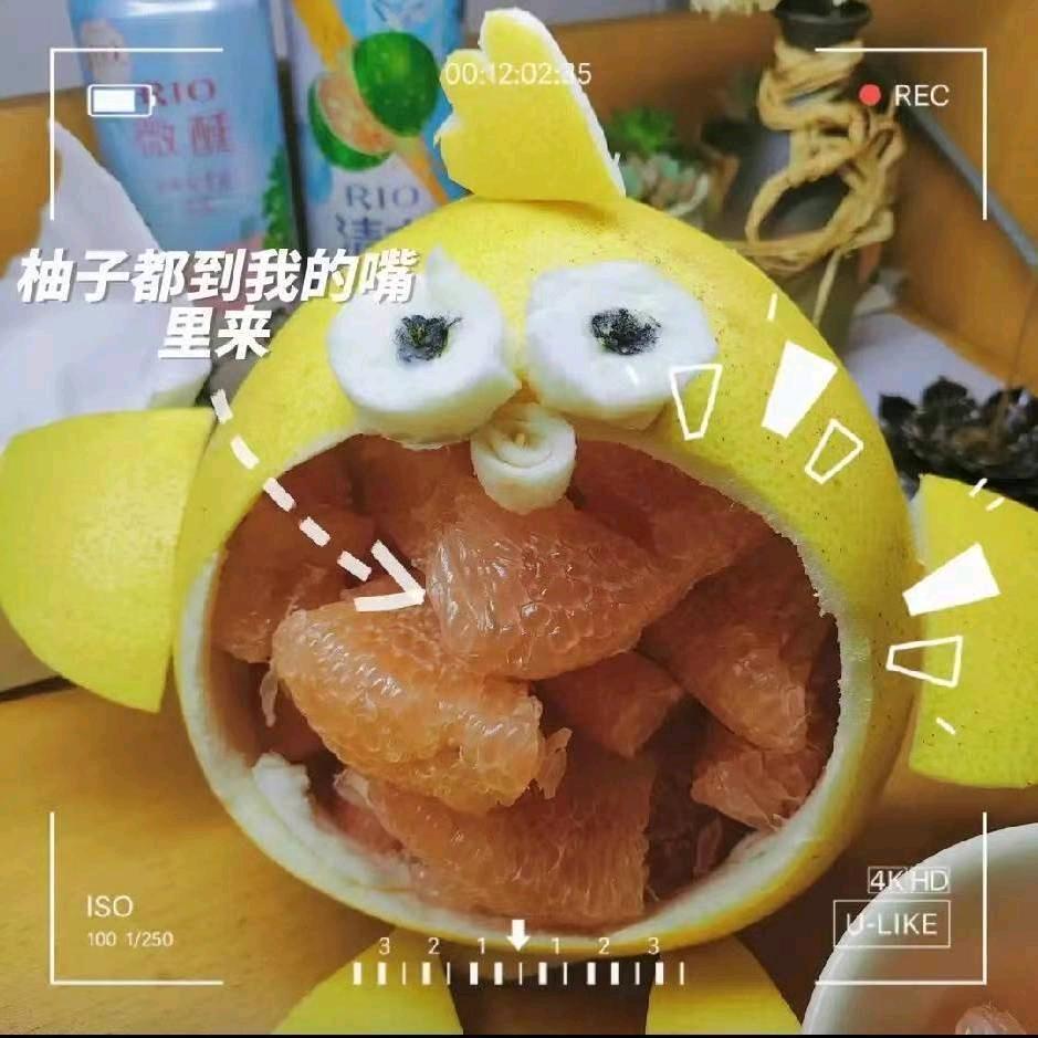 陈昺