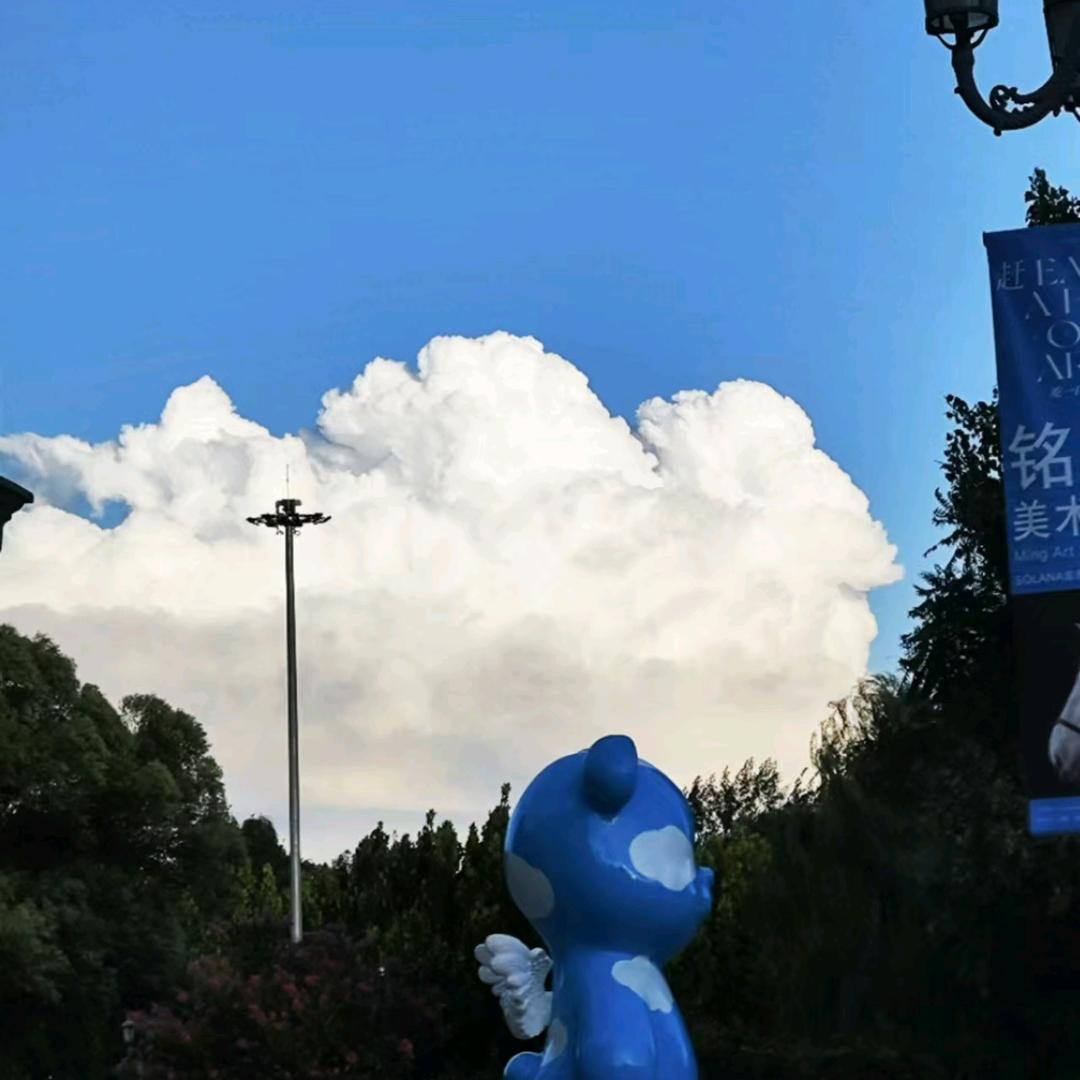 元子影视🐋（徐徐图之）