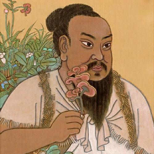 佰草通源