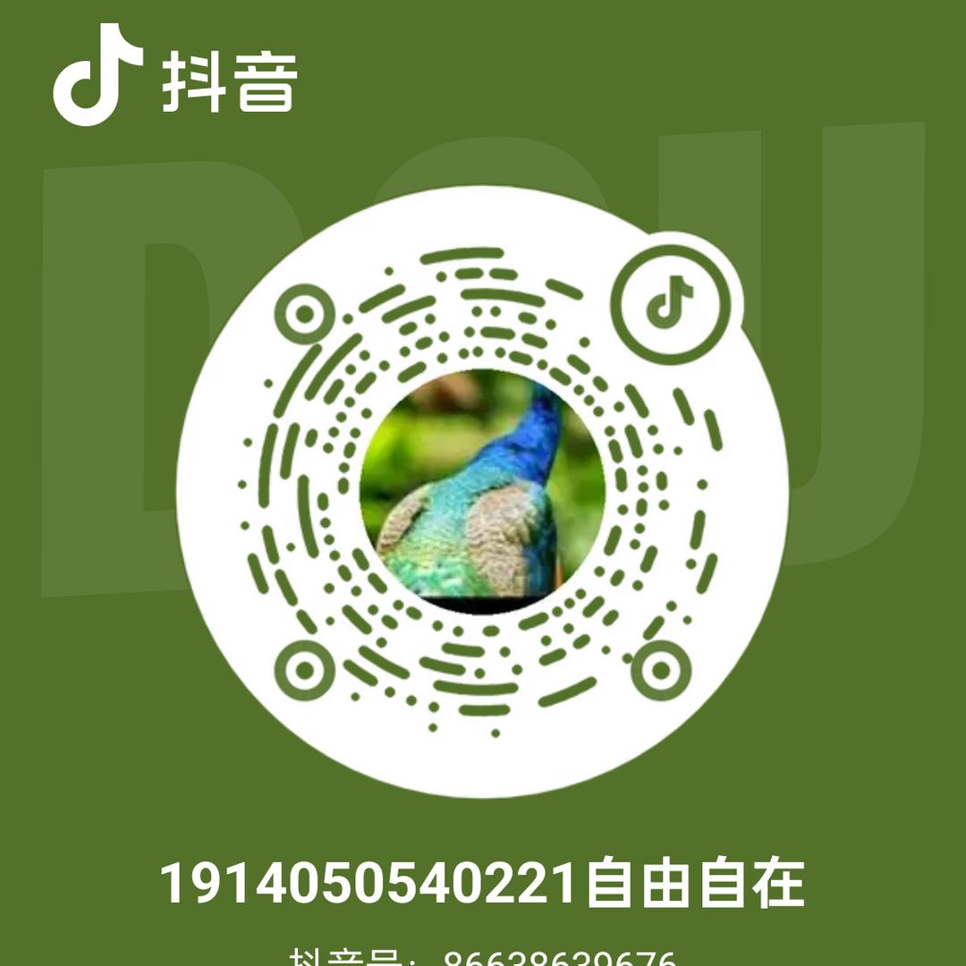 汽车美容店