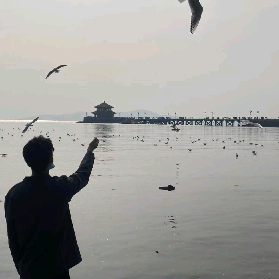 🌊🌊