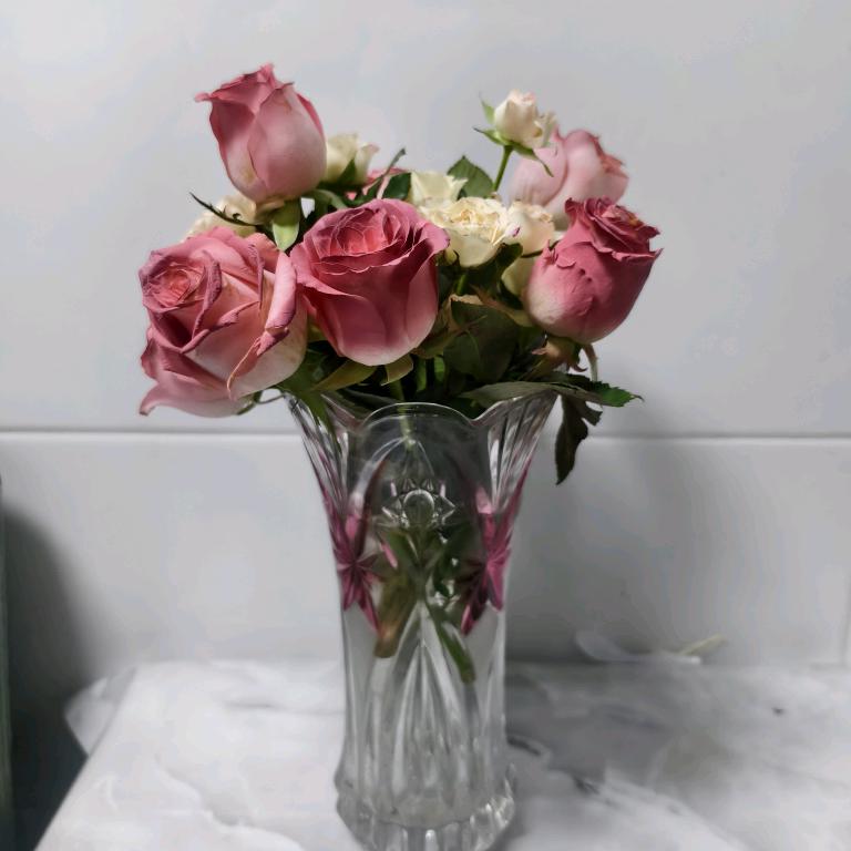 一切随缘🙏🙏🙏