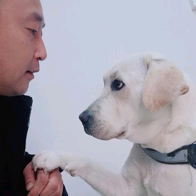 多多一家