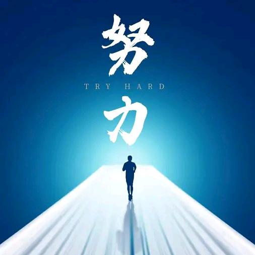 磊子在努力