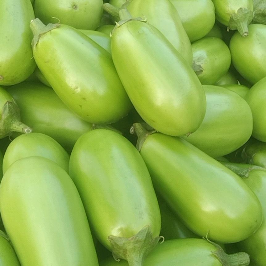 华蔬菜行