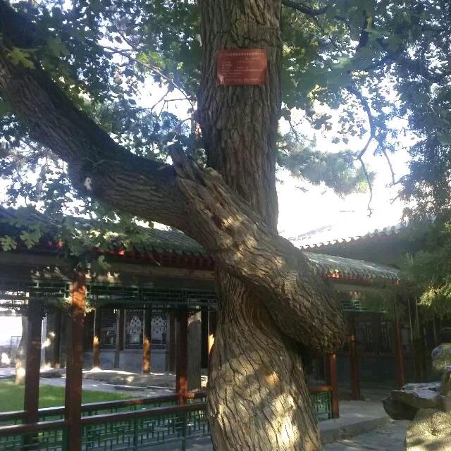 新平气和789CHC