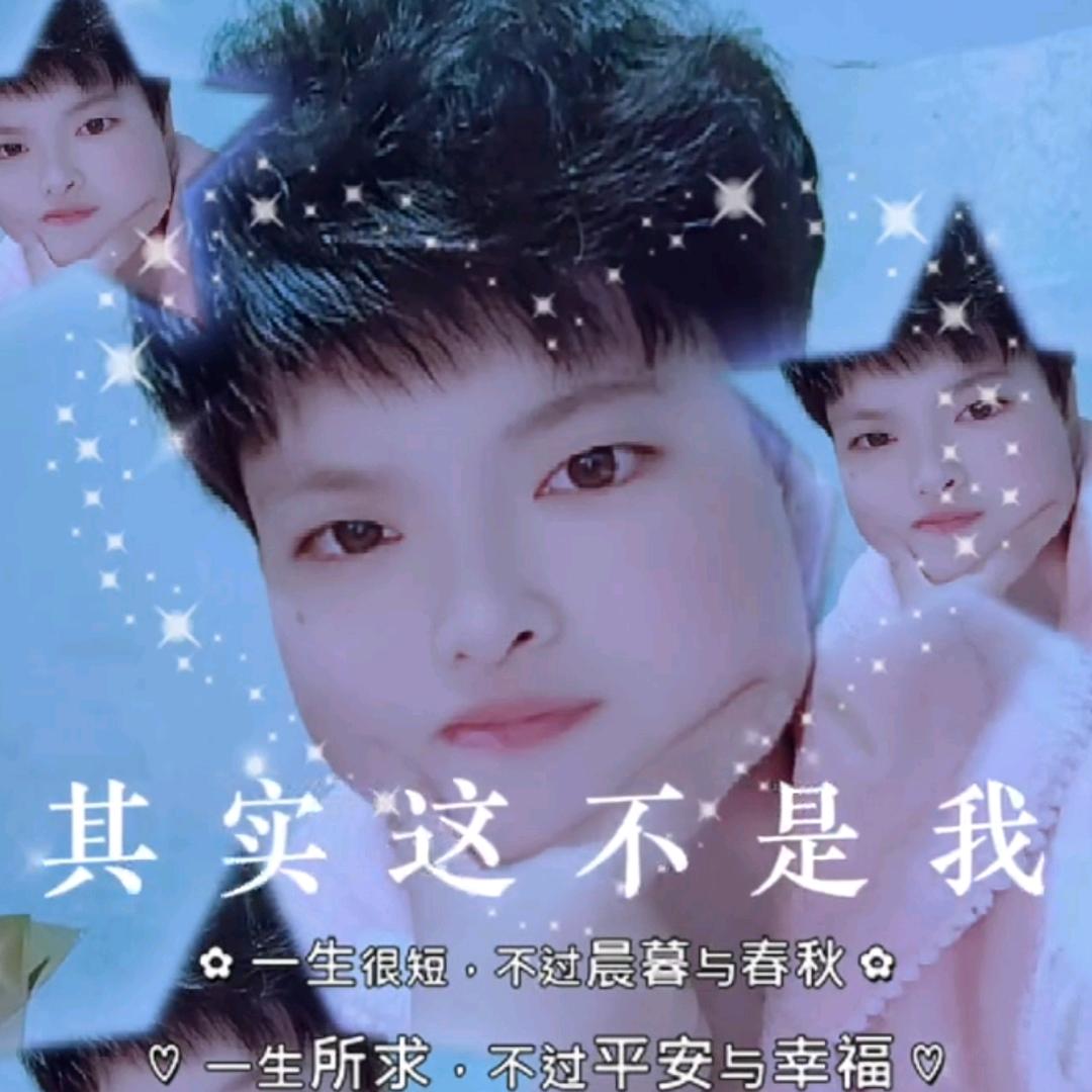 雁南飞