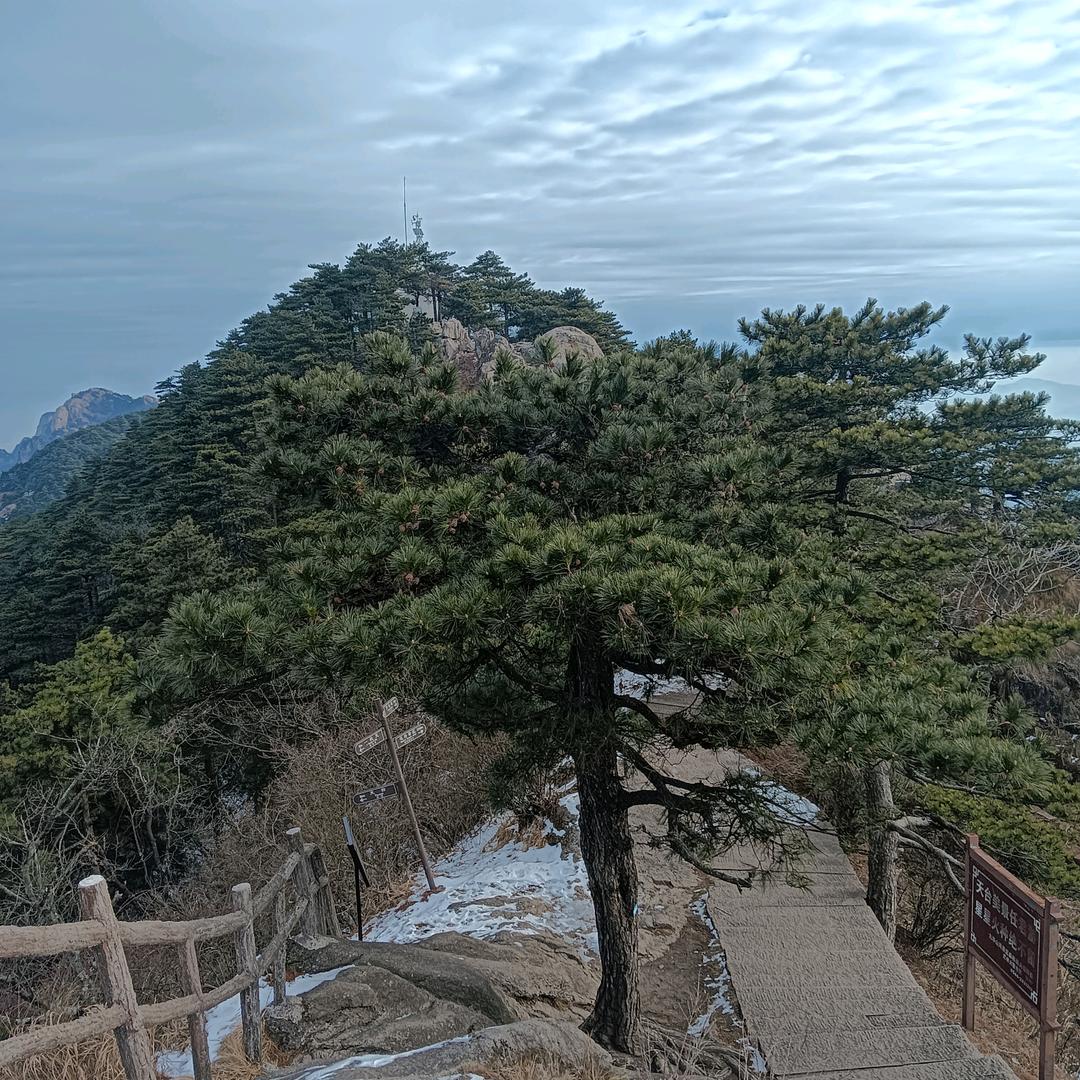 清