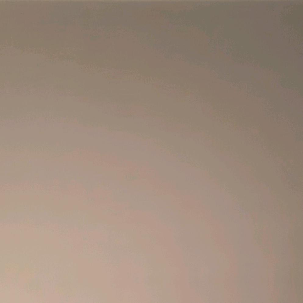 zoe～
