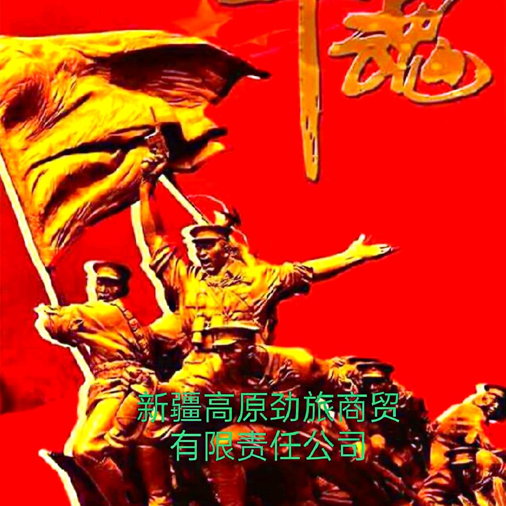 新疆高原劲旅商贸有限责任公司