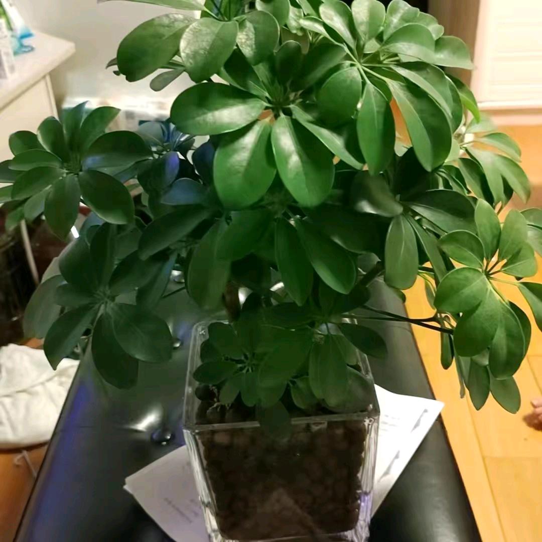 忘掉烦恼