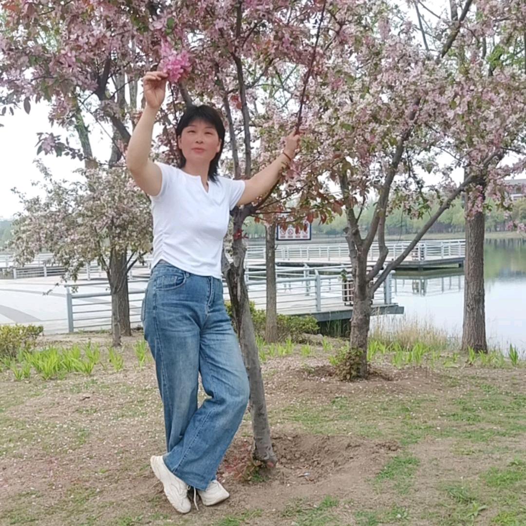 阿凤姐红薯粉条
