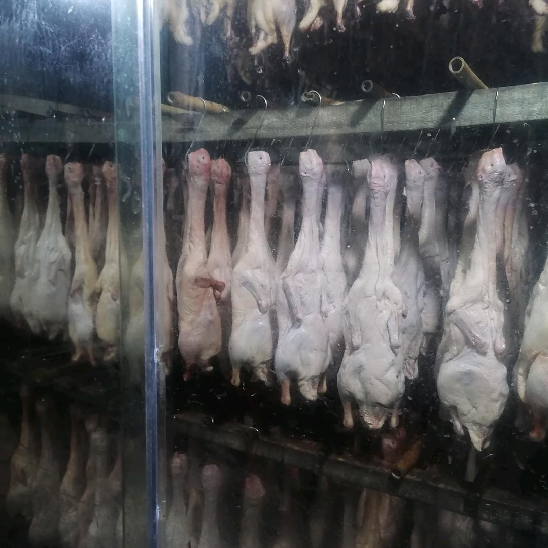 ‘？l‘／∥一√‘‘  ‘‘