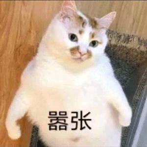 临渊羡鱼（宁芙请投卢卡）