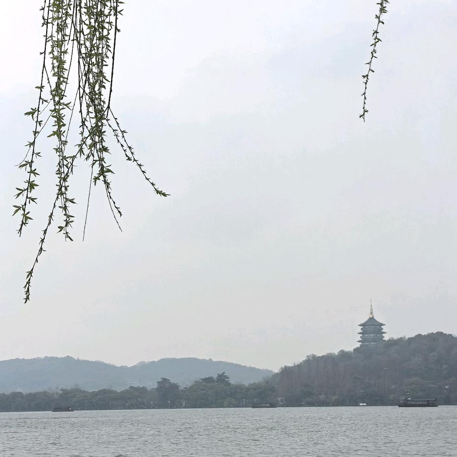 苏 苏 好物优选