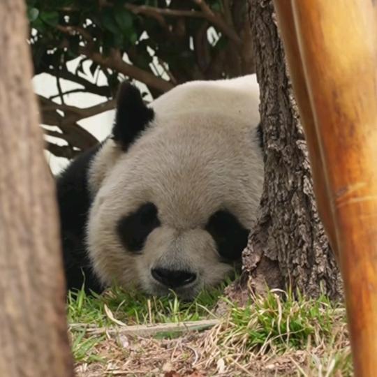 满载/haoyunchangzai