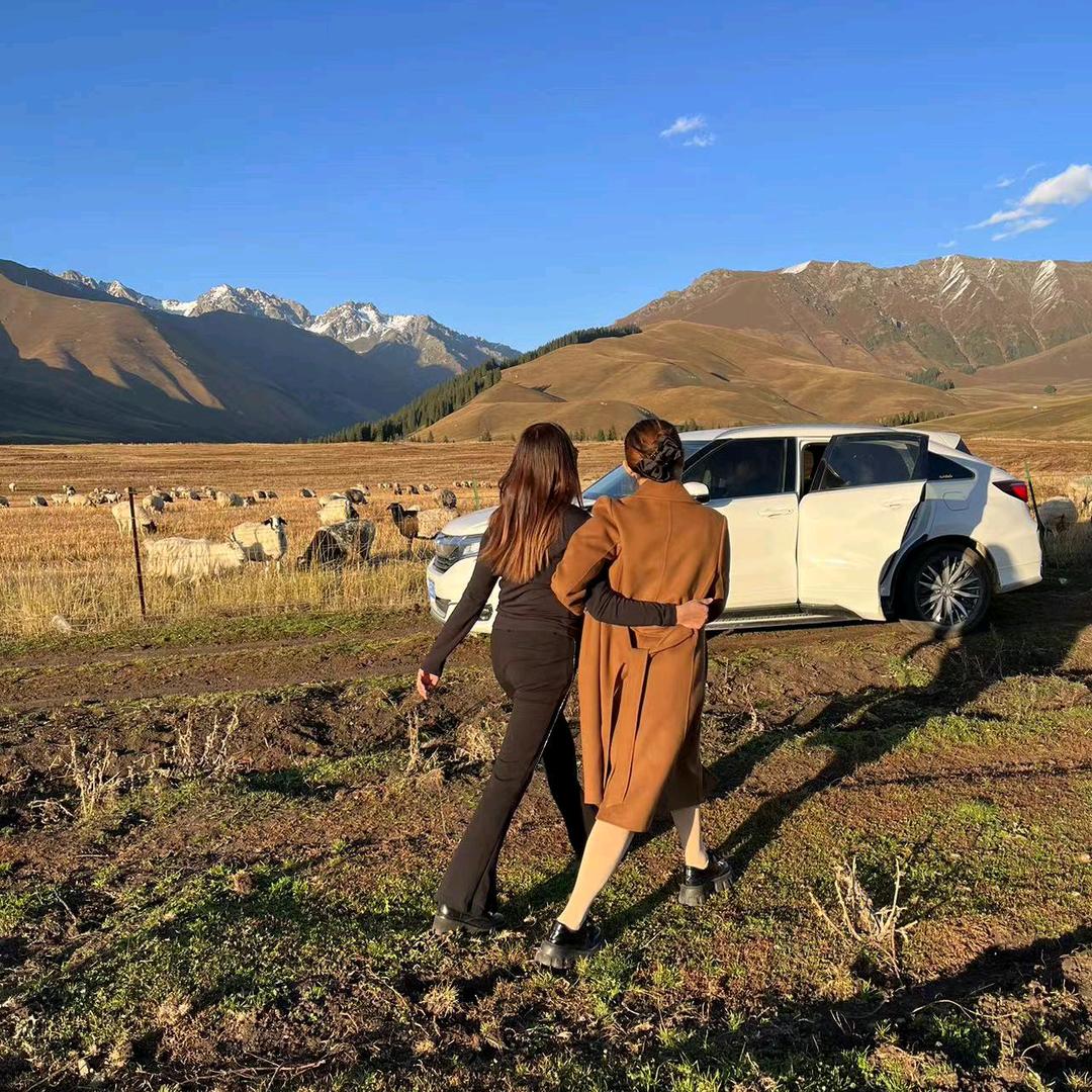 高高的树上结槟榔